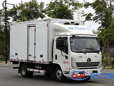 (國六)陝汽輕卡4.2米冷藏車(chē)圖片